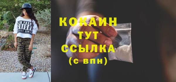 шишки Абинск