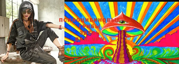 шишки Покачи