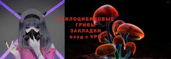 шишки Абинск