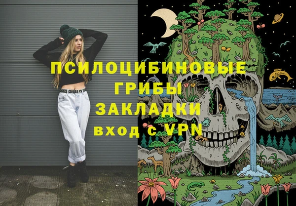 дживик Абаза