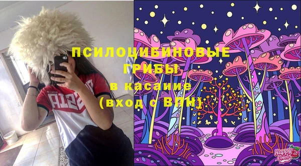 шишки Абинск