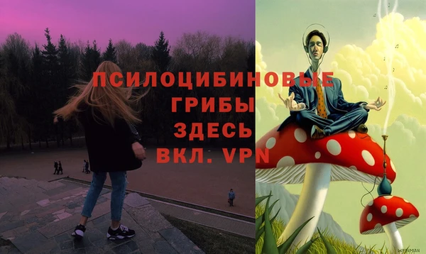 дживик Абаза